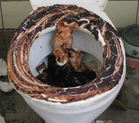 Versiffte Toilette